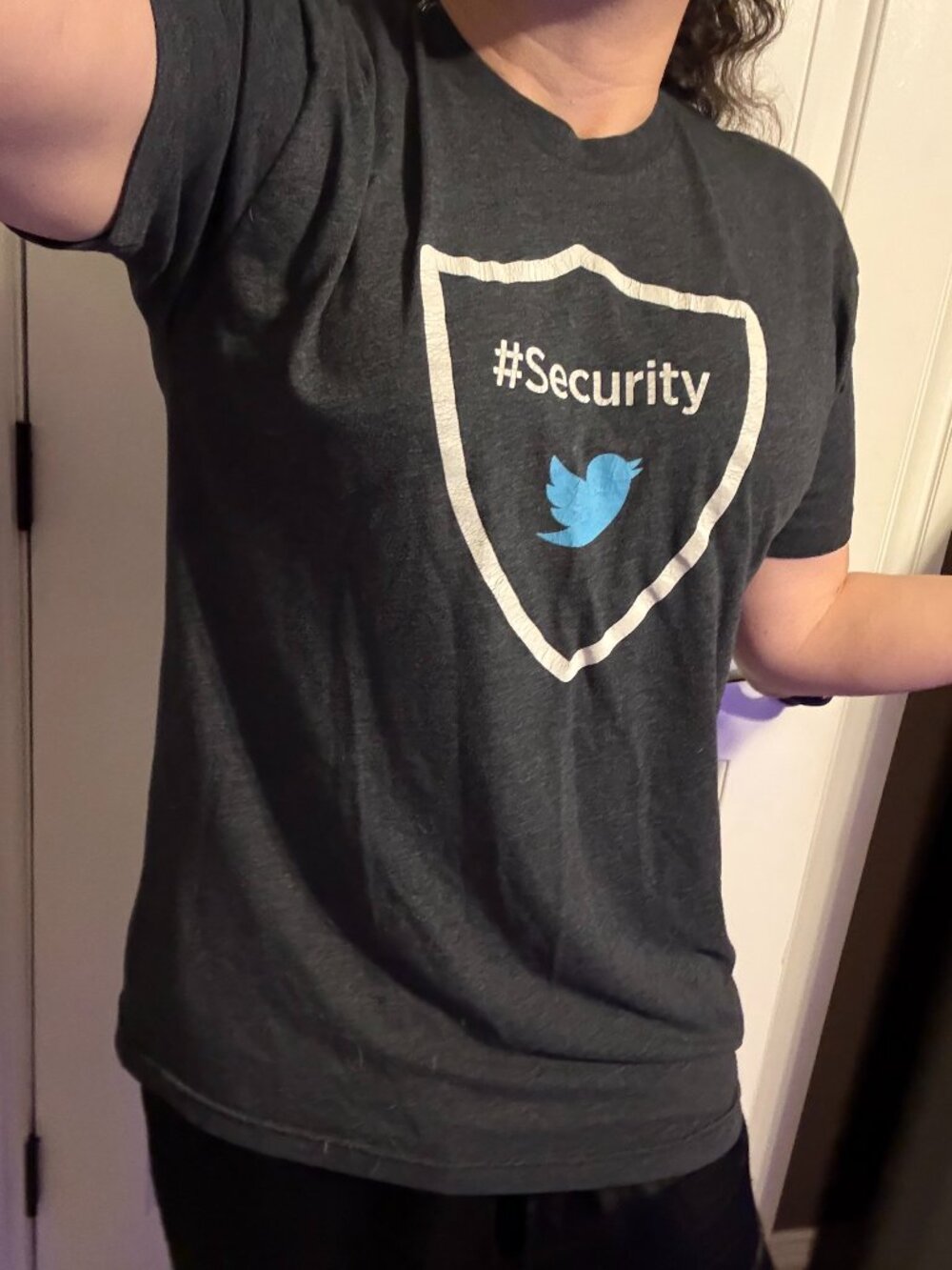 Used vintage Twitter #security Large Tshirt